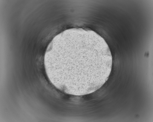 X0000113200079200910221050