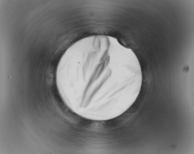 X0000113200080200910221050