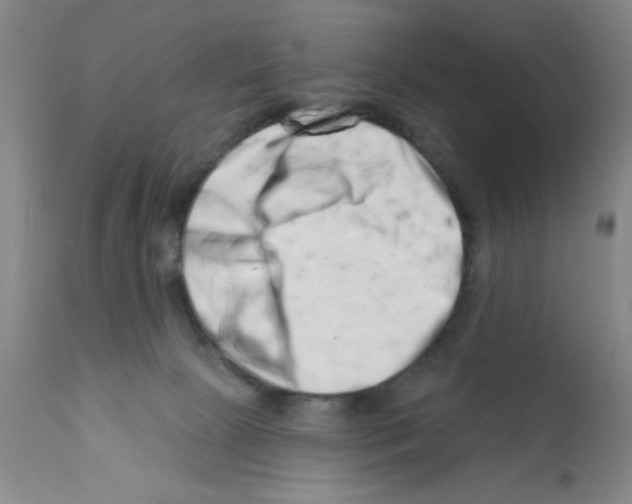 X0000113200081200910221050