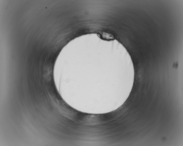 X0000113200082200910221050