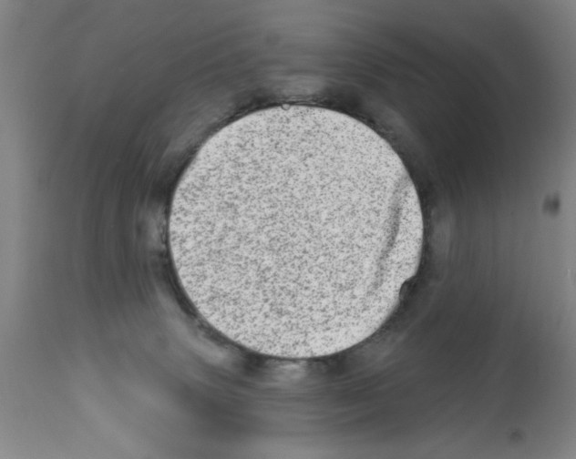 X0000113200083200910221050
