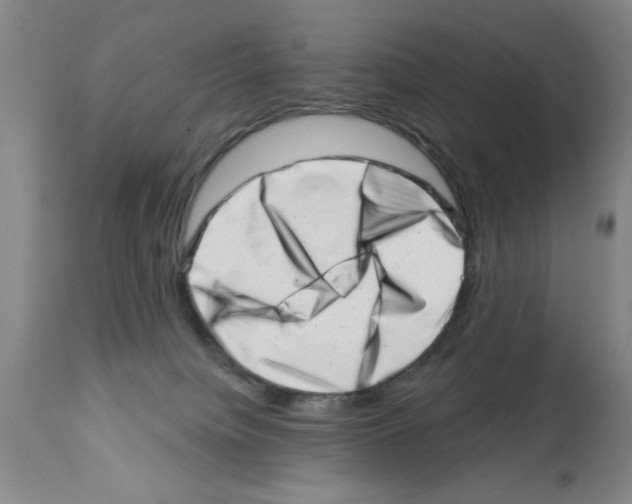 X0000113200084200910221050