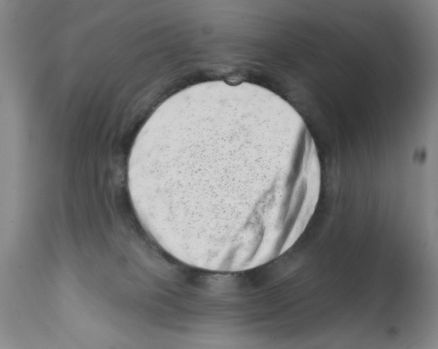 X0000113200085200910221050