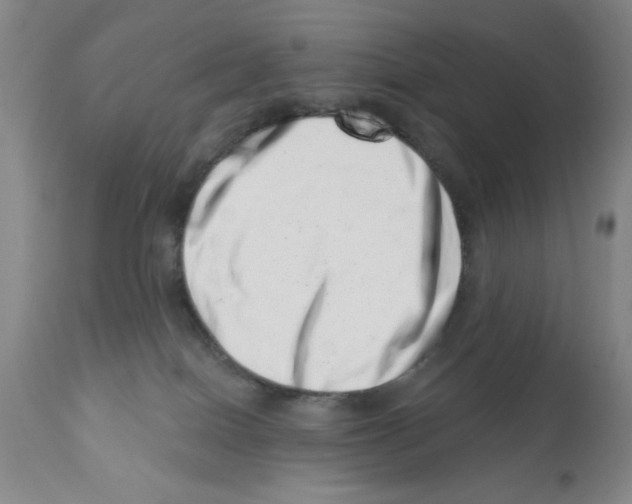X0000113200086200910221050