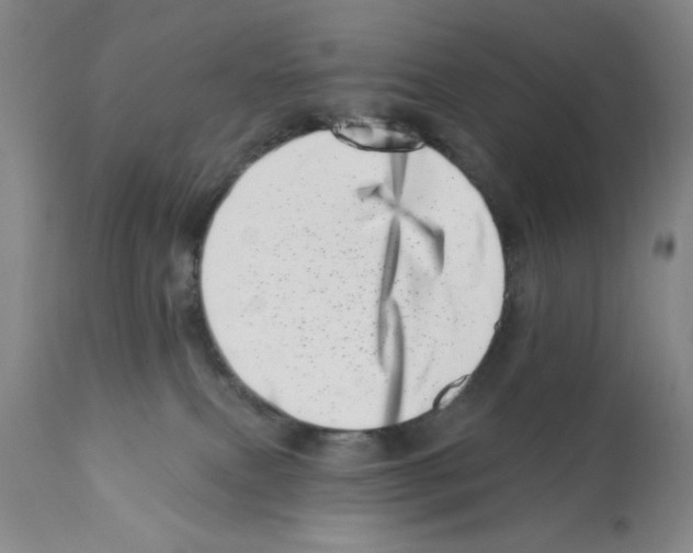X0000113200087200910221050