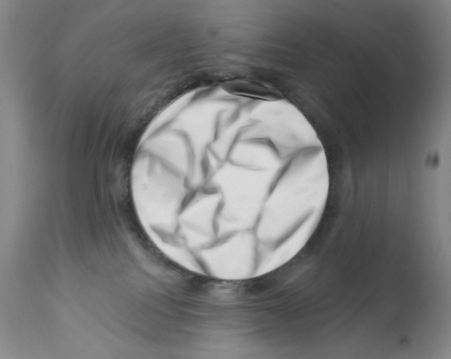 X0000113200088200910221050
