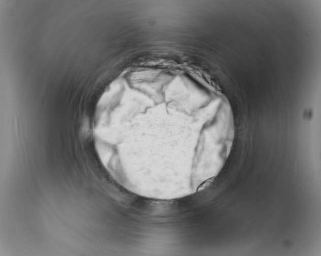 X0000113200089200910221050