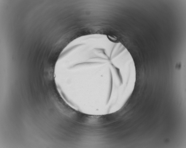 X0000113200090200910221050