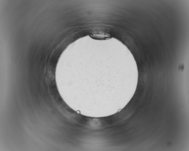 X0000113200091200910221050