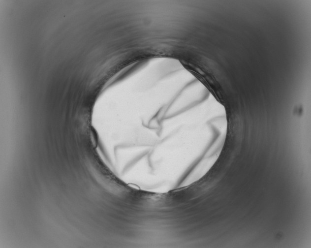 X0000113200092200910221050