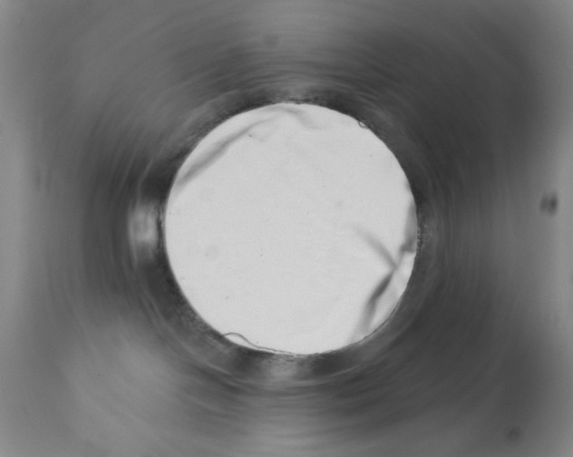 X0000113200094200910221050