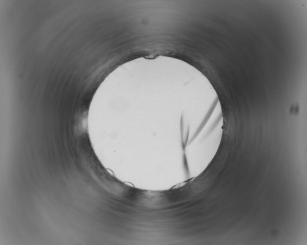 X0000113200095200910221050