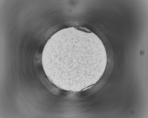 X0000113200096200910221050