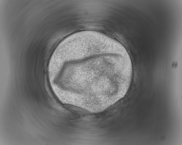 X0000113200097200910221049