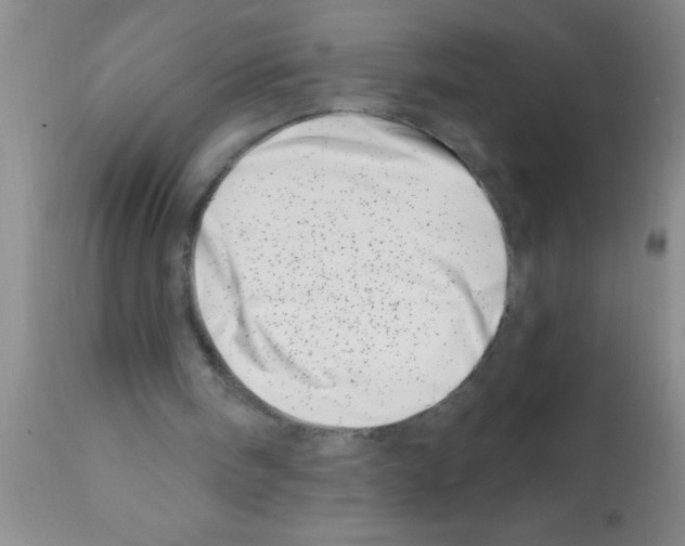 X0000113200098200910221049