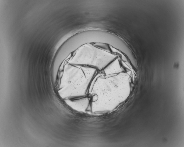 X0000113200100200910221049