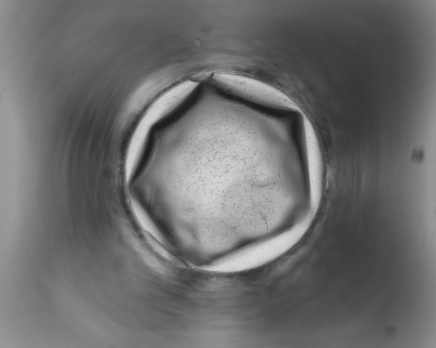 X0000113200101200910221049