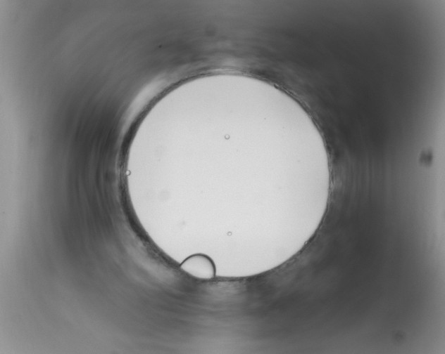 X0000113200102200910221049