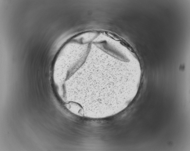 X0000113200103200910221049