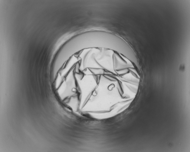 X0000113200104200910221049