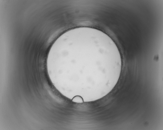 X0000113200106200910221049