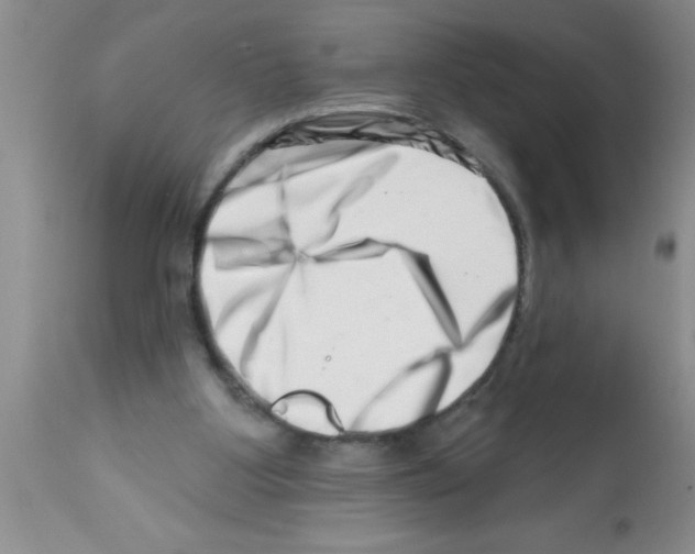 X0000113200107200910221049