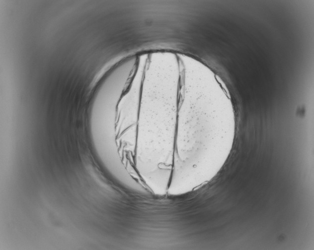X0000113200108200910221049