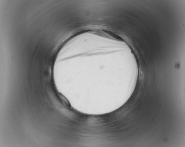 X0000113200109200910221049