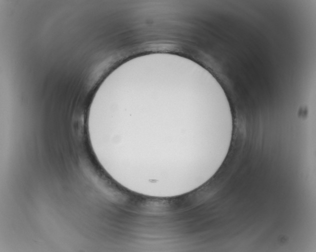 X0000113200110200910221049