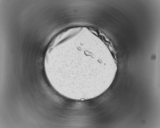 X0000113200111200910221049