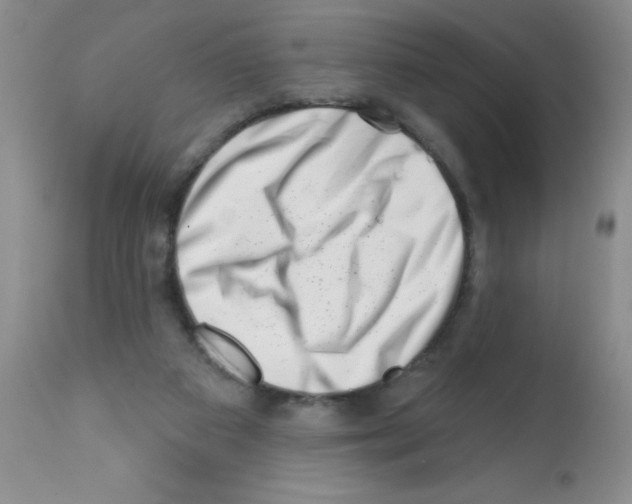 X0000113200113200910221049