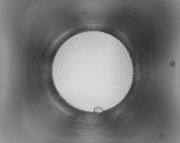 X0000113200114200910221049