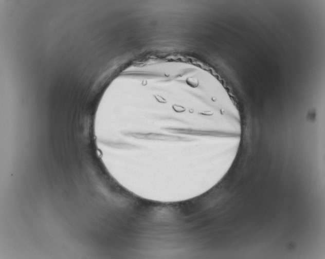 X0000113200115200910221049