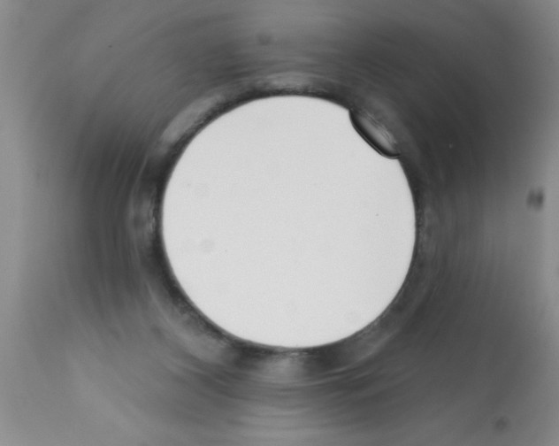 X0000113200116200910221049