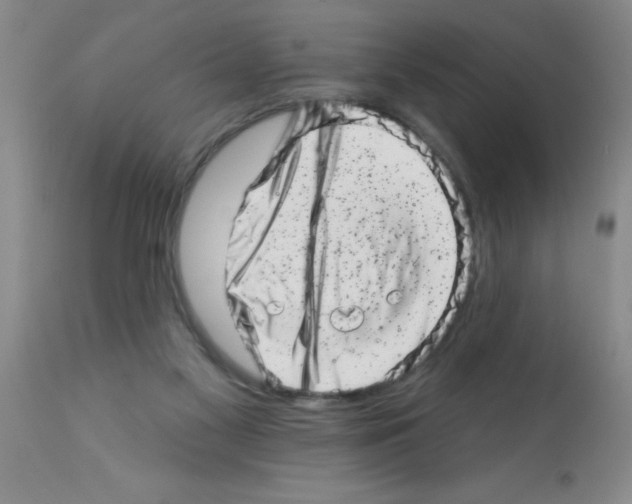 X0000113200117200910221049