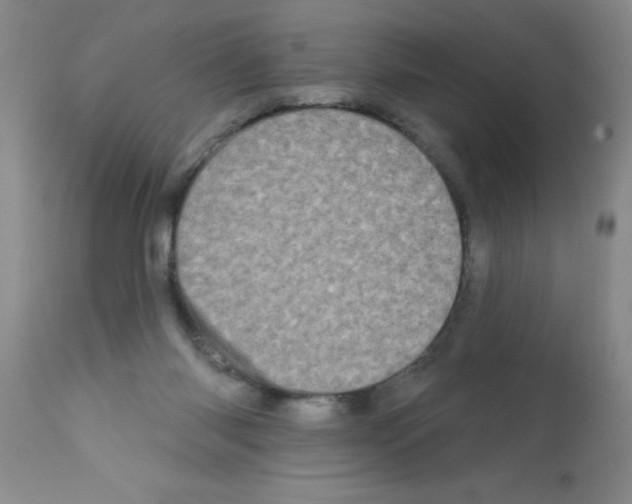 X0000113200118200910221049