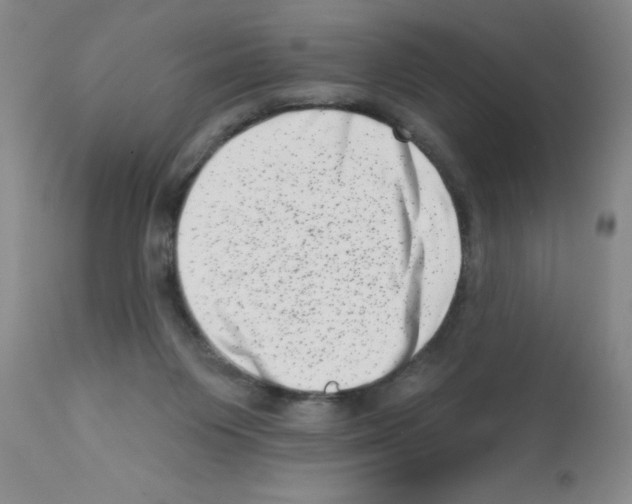 X0000113200119200910221049