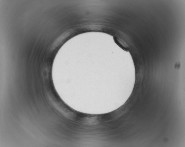 X0000113200120200910221049