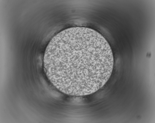 X0000113200121200910221049