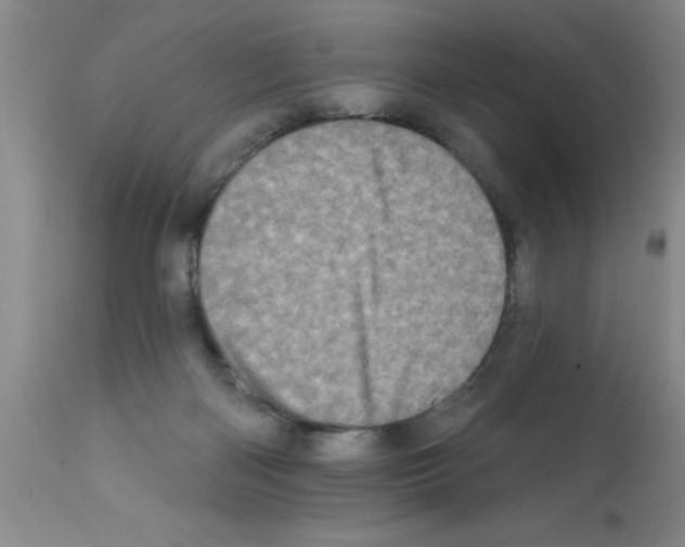 X0000113200122200910221049