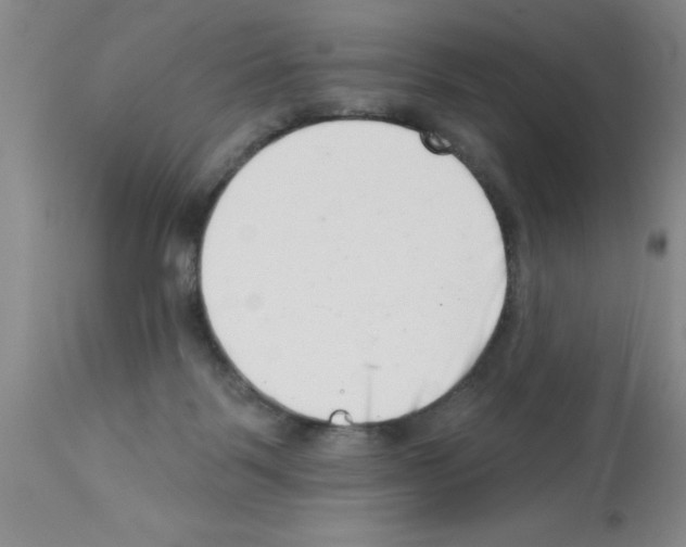 X0000113200123200910221049