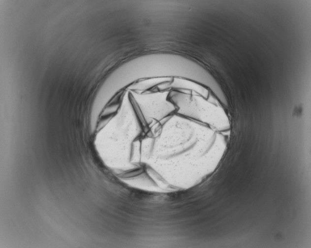 X0000113200124200910221049