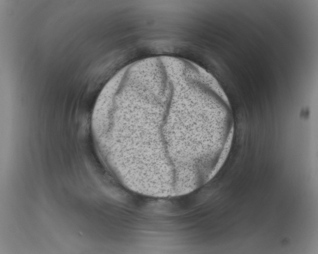 X0000113200125200910221049
