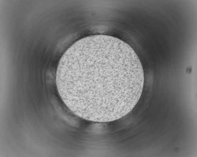 X0000113200126200910221049