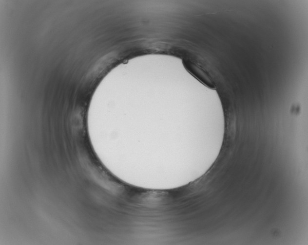 X0000113200128200910221049