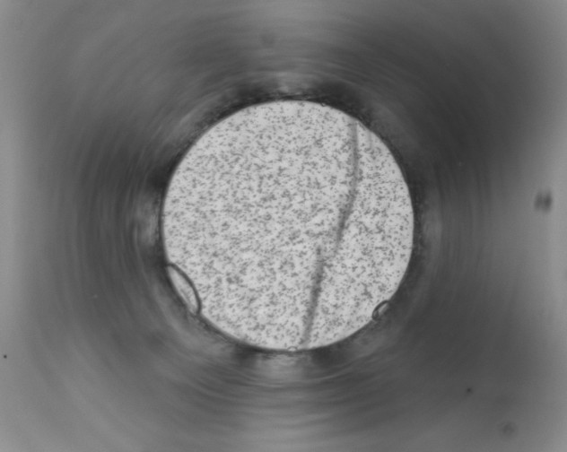 X0000113200129200910221049