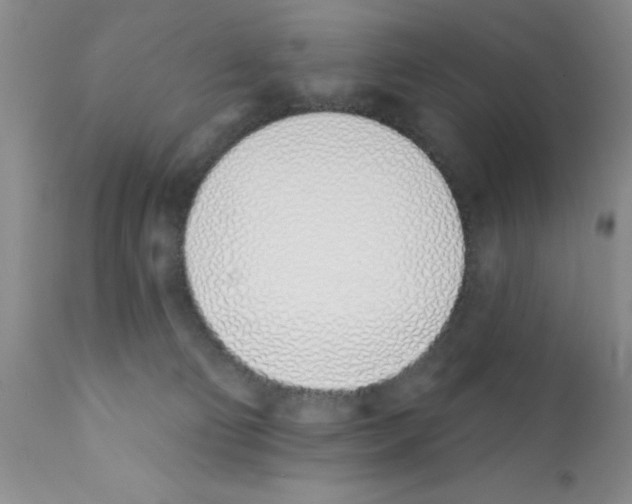 X0000113200130200910221049