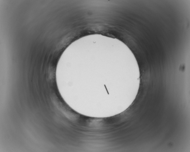 X0000113200132200910221049