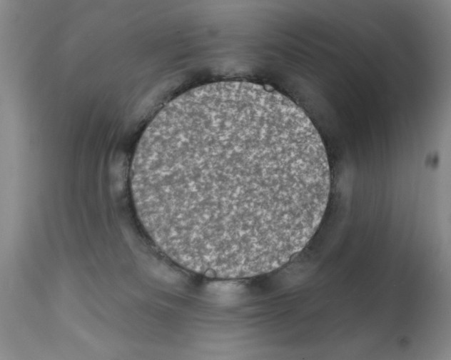 X0000113200133200910221048