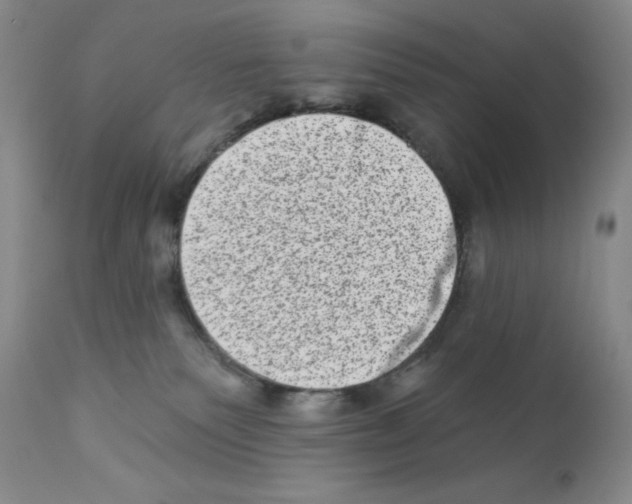 X0000113200135200910221048